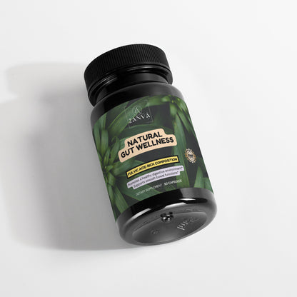 Natural Gut Wellness Capsules